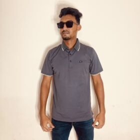 Polo v2